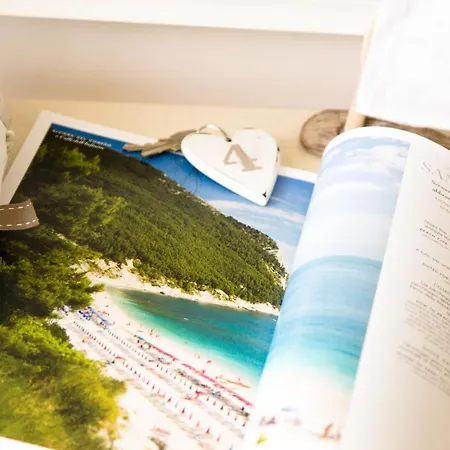 Daniela 招待所 3*