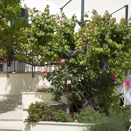 招待所 Daniela 锡罗洛