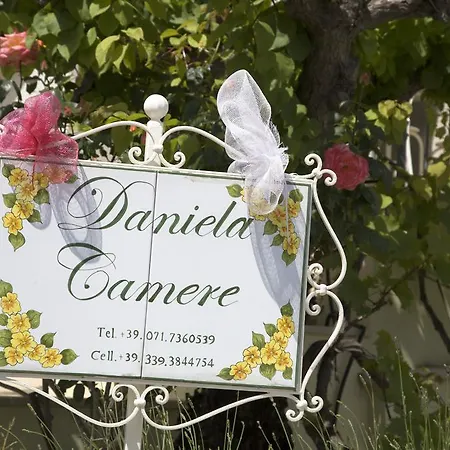 Daniela 招待所 3*